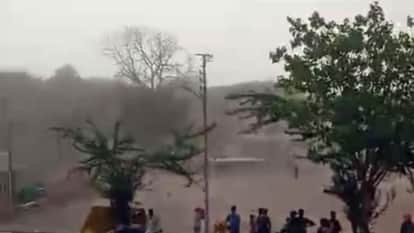 Jhansi: Dust storm with speed of 80 kmph, felled trees and broken wires