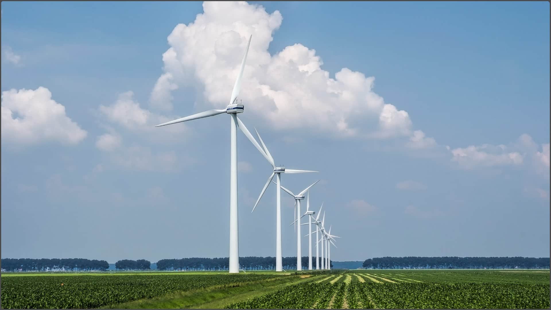 सांकेतिक तस्वीर