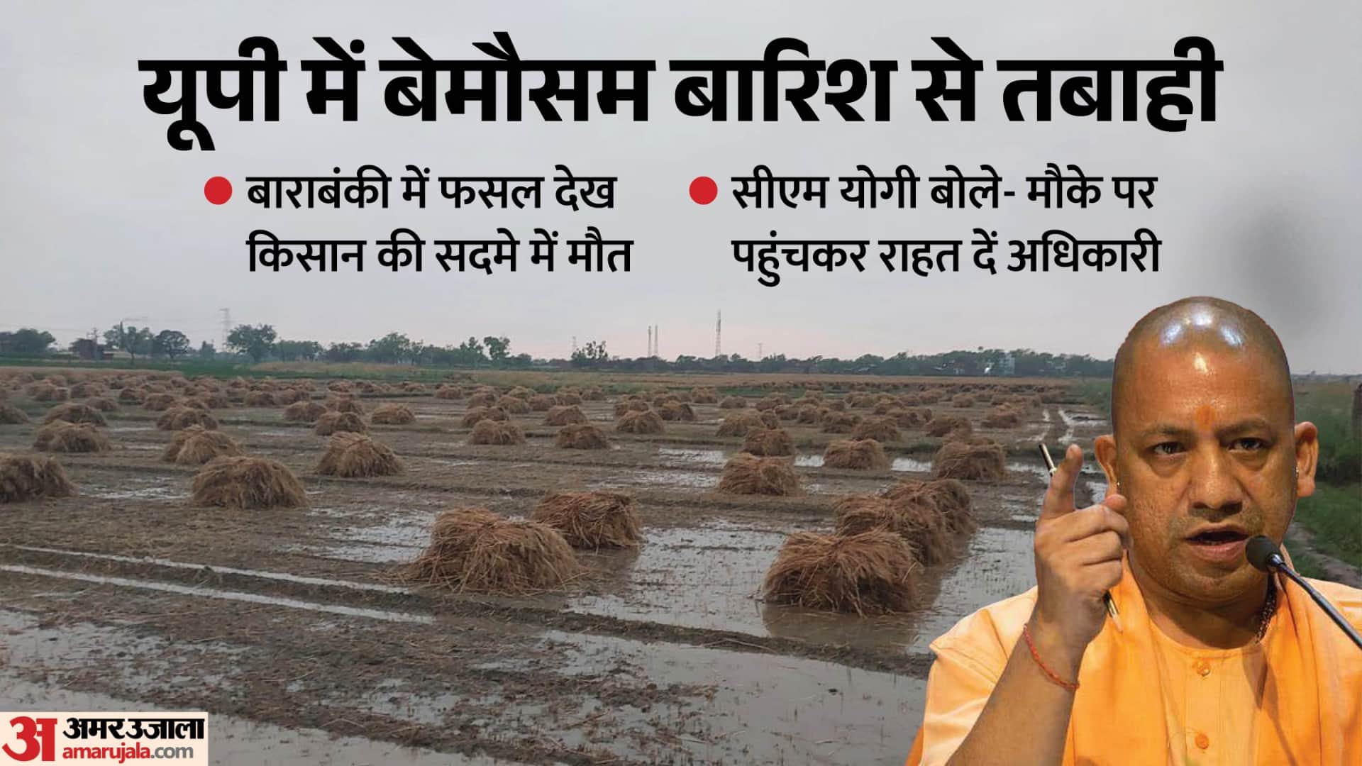 यूपी में बेमौसम बारिश से नुकसान।