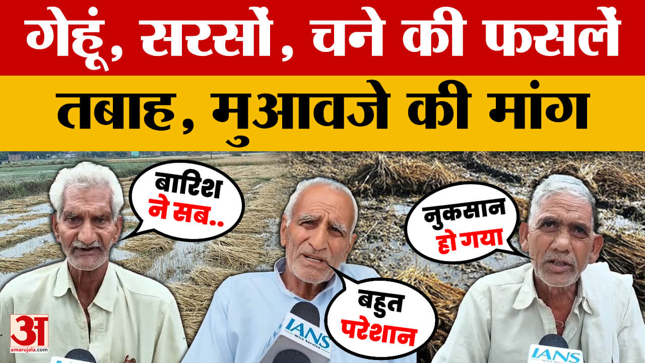 Bharatpur Farmers on Crop Damage: गेहूं, सरसों और चने की फसलें तबाह, किसानों ने की मुआवजे की मांग