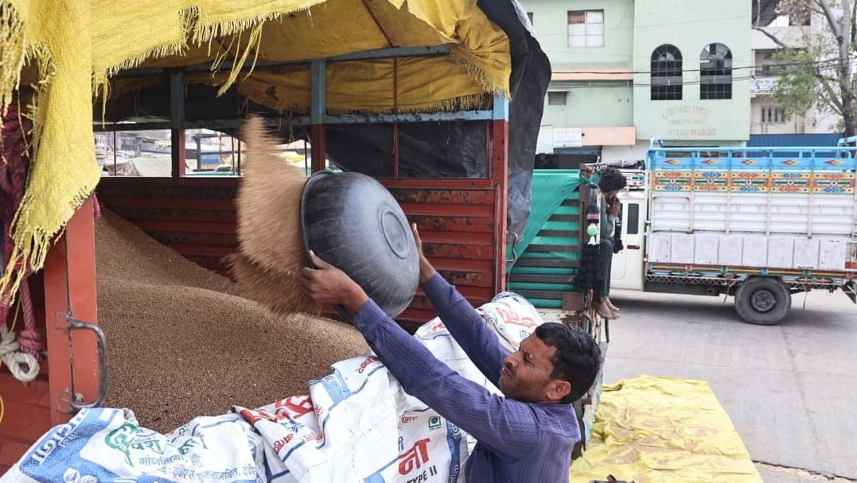 Indore News Wheat Procurement at Support Price Begins
