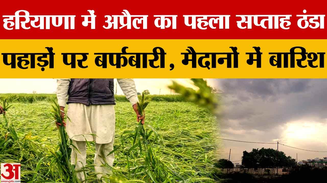 पश्चिमी विक्षोभ का असर: हरियाणा में बारिश-बर्फबारी से तापमान 12°C तक गिरा