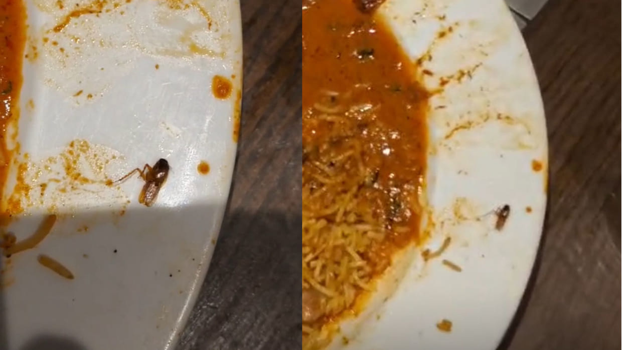 Cockroach Found in Biryani at City Mall Hotel; Uproar Ensues