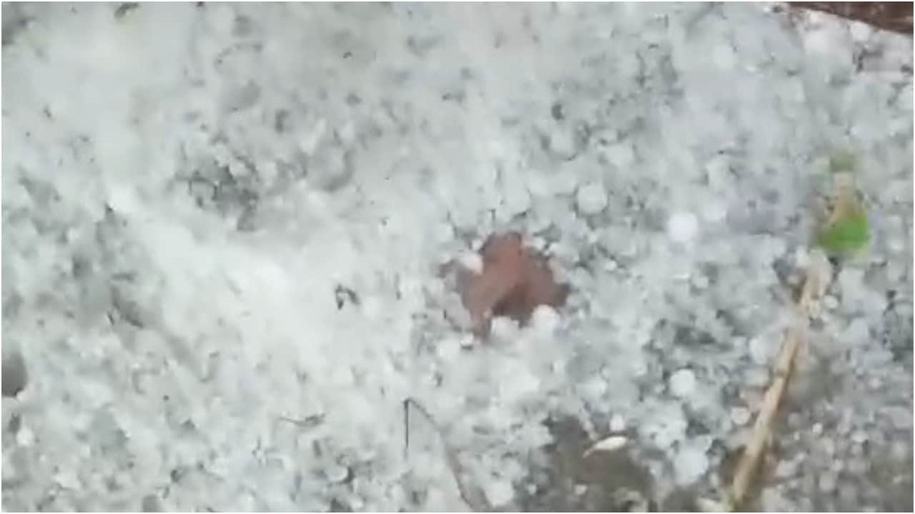 Weather Havoc Train Stranded in Lakhimpur Kheri After Tree Falls on OHE Line Crops Ruine Due Heavy Rain