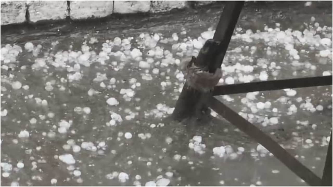 Weather Havoc Train Stranded in Lakhimpur Kheri After Tree Falls on OHE Line Crops Ruine Due Heavy Rain
