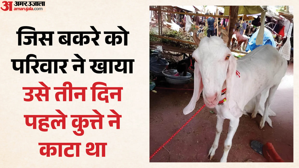 Fear of Rabies After Eating Mutton Goat Consumed Had Been Bitten by Dog Three Days Earlier