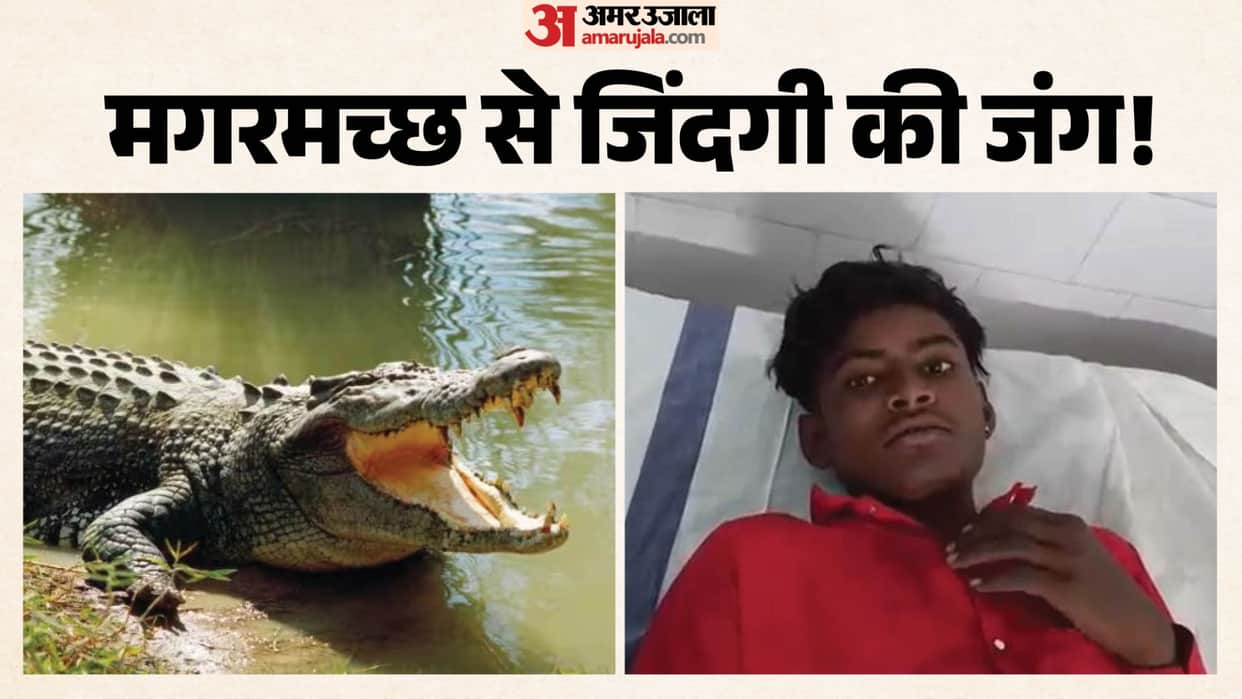 Maihar News: Death struck suddenly, teen fights off crocodile and survives, hospitalized with injuries