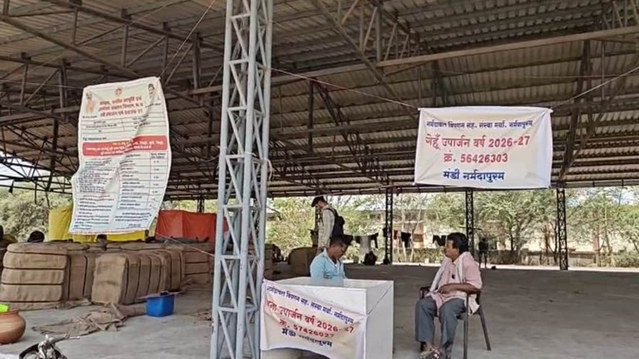 Narmadapuram: Wheat procurement stalls on day one, farmers hit by slot booking glitches and technical issues
