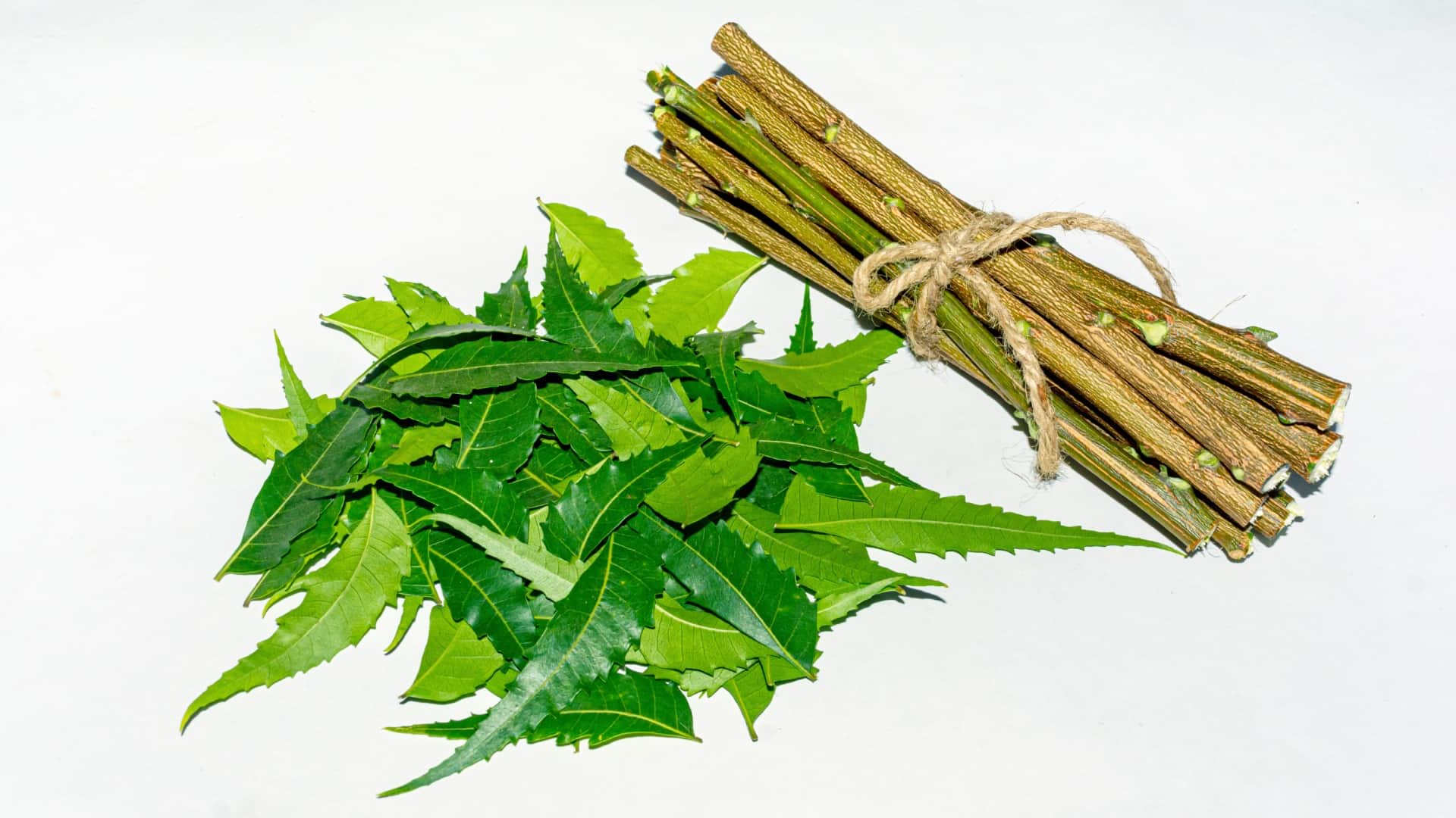 नीम का दातुन फायदेमंद या नुकसानदायक?