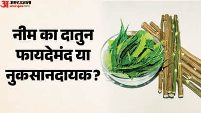 नीम का दातुन फायदेमंद या नुकसानदायक?