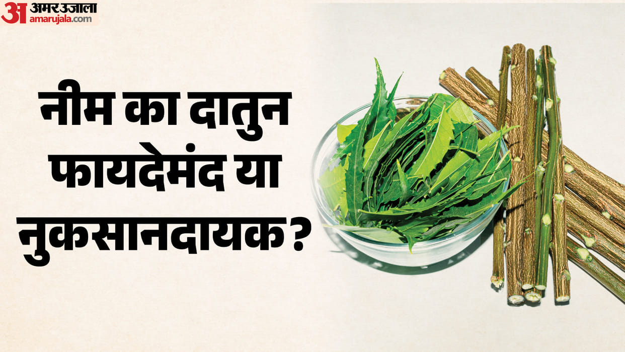 benefits and side effects of using neem datun for teeth on daily basis