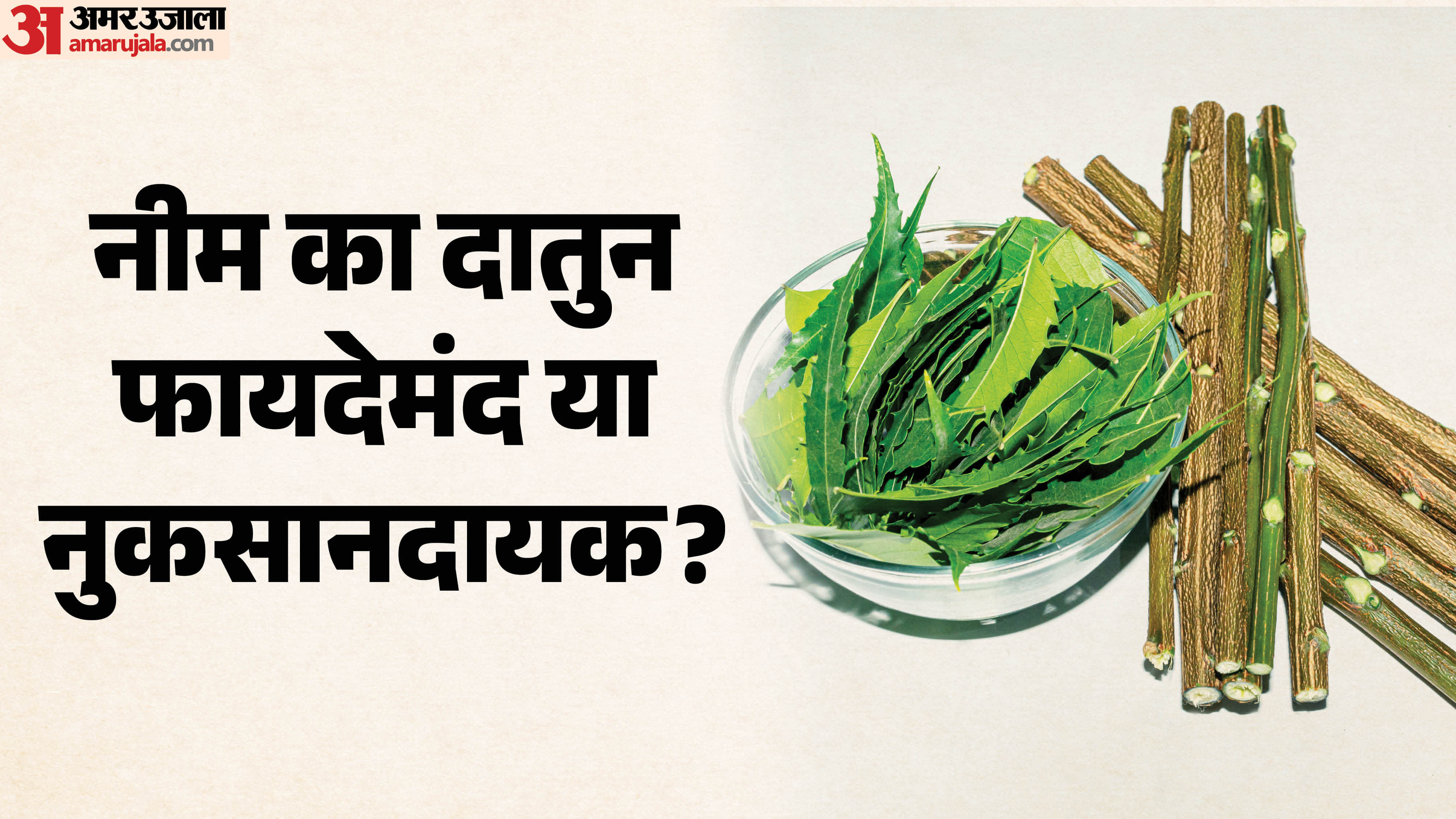 नीम का दातुन फायदेमंद या नुकसानदायक?