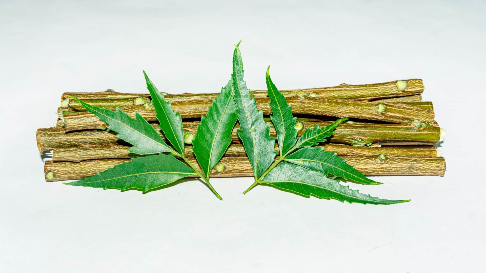 benefits and side effects of using neem datun for teeth on daily basis