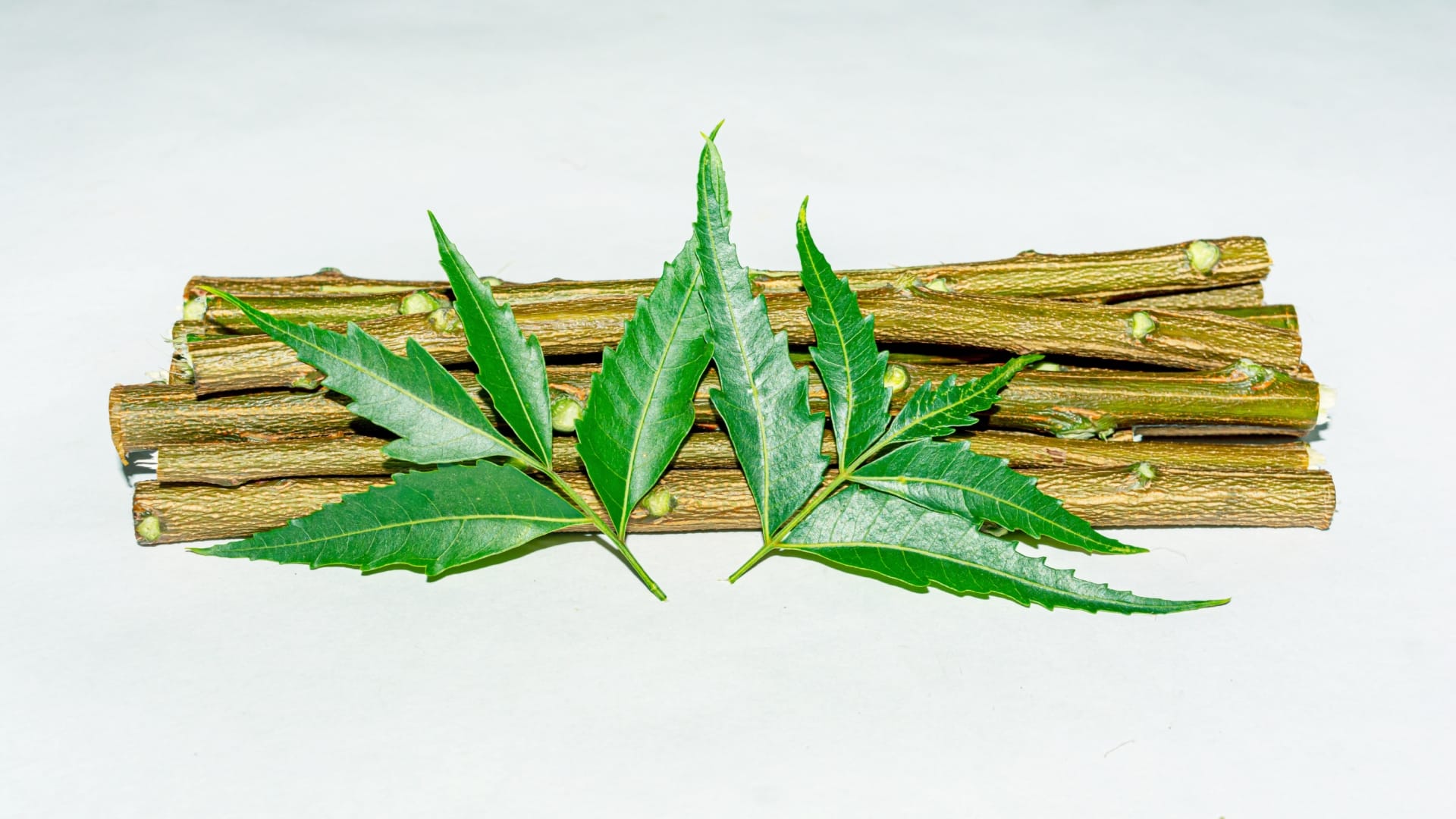 benefits and side effects of using neem datun for teeth on daily basis