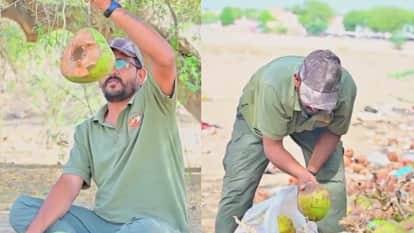 Greenman narpat singh rajpurohit makes eco friendly bird nests from coconut shells video goes viral