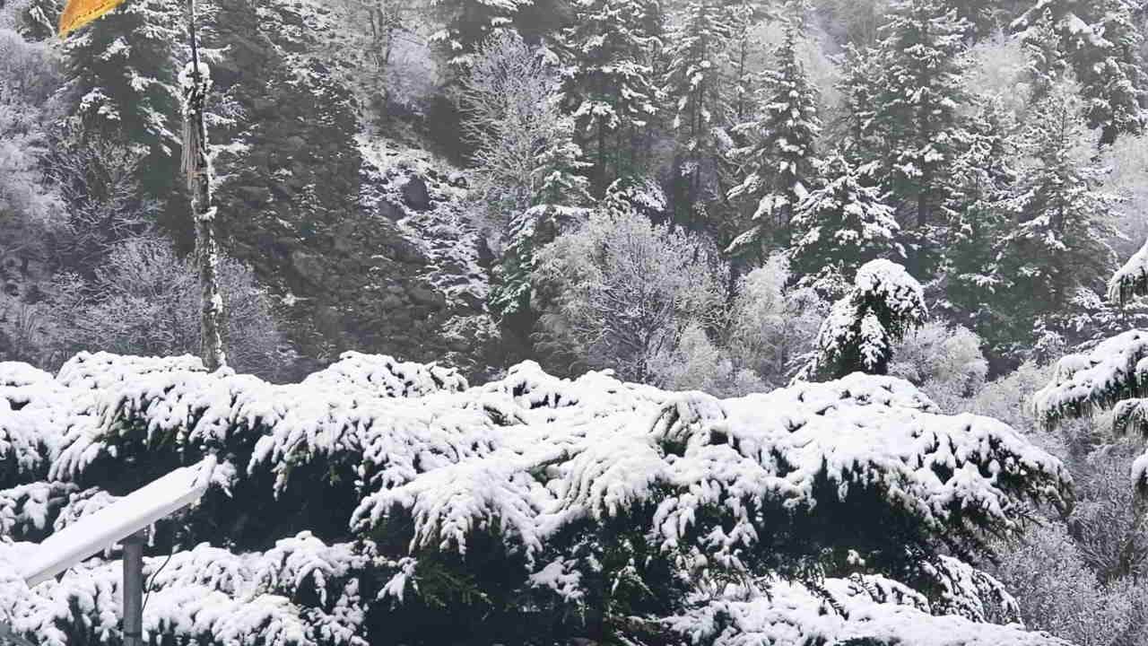 Snowfall in Kedarnath Yamunotri; snow blankets region from Badrinath to Auli Roopkund, Bedni Watch photos