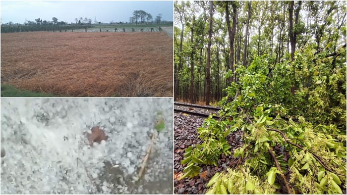 Weather Havoc Train Stranded in Lakhimpur Kheri After Tree Falls on OHE Line Crops Ruine Due Heavy Rain