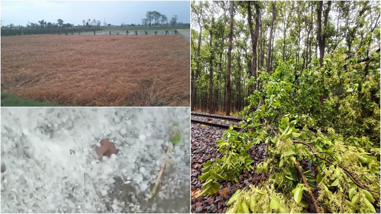 Weather Havoc Train Stranded in Lakhimpur Kheri After Tree Falls on OHE Line Crops Ruine Due Heavy Rain