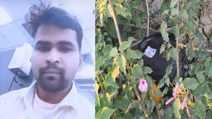 Auraiya: Sugriv's Bag Found in Bushes After Seven Days; Two Suicide Notes Also Recovered