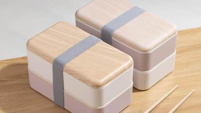 Student brought roti chini tiffin government school teacher wins hearts video goes viral