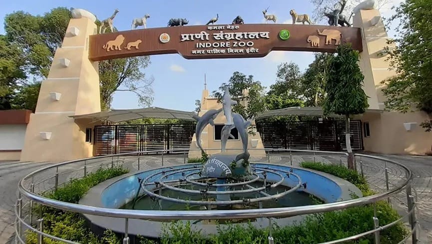Indore News Zoo to get world-class aquarium with underwater glass tunnel and scuba diving