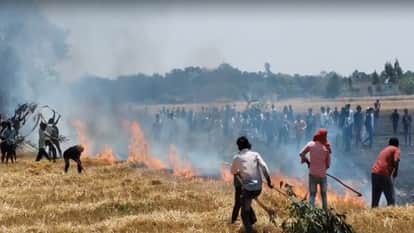 Hundreds of acres of wheat crop burnt to ashes due to a massive fire in Pratapgarh