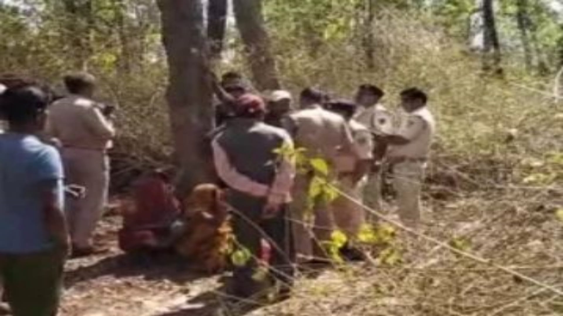 घटनास्थल पर एकत्रित वन कर्मचारी