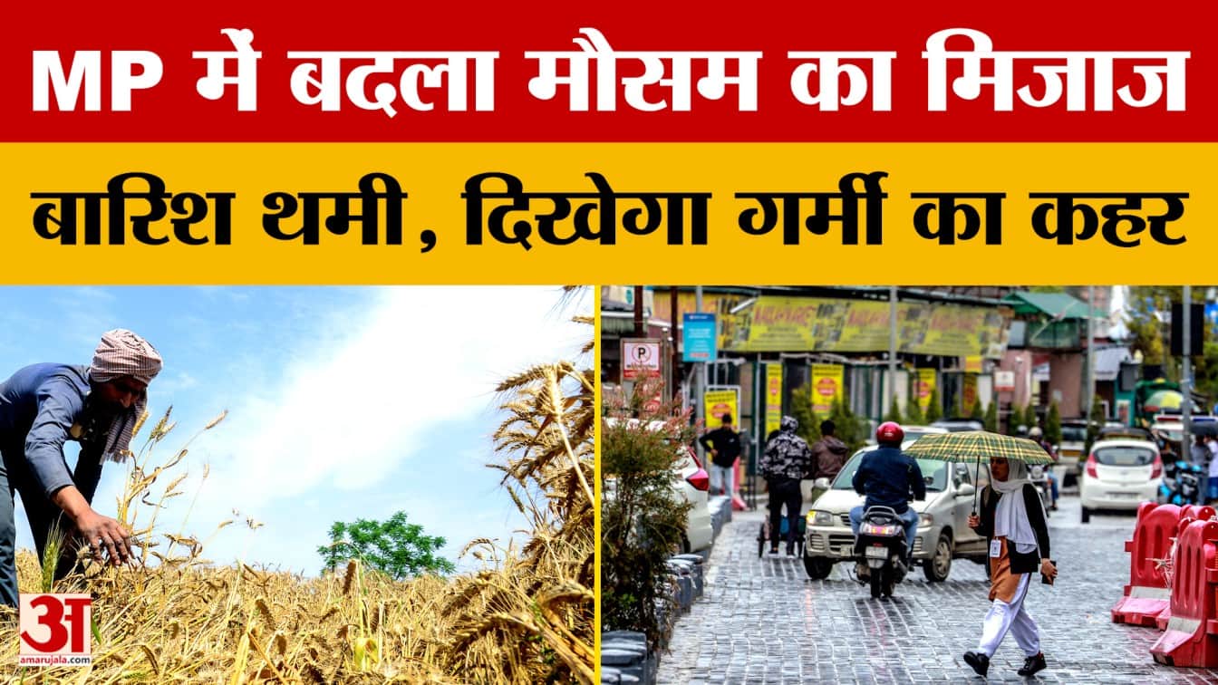 MP Weather Update: मध्य प्रदेश में बदला मौसम का मिजाज, 4 से 6 डिग्री बढ़ेगा पारा