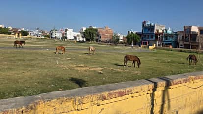 Moradabad: The Ramlila Ground in Linepar—here, a daily battle against mismanagement is a common occurrence