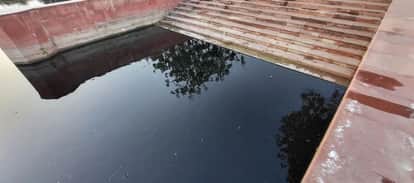 Mass Fish Deaths at Shri Krishna Sarovar After Rain Villagers Protest Over Water Pollution