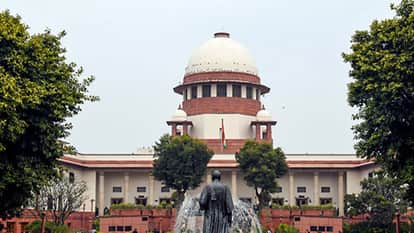 Supreme Court tells petitioner who filed 25 PILs Approach authorities instead of rushing to court Onion garlic