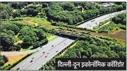 Delhi-Doon Economic Corridor: Animal Underpasses Proving to be a Boon for Wildlife