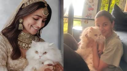 salman shahrukh to priyanka know details of celebs pets on national pet day