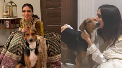 salman shahrukh to priyanka know details of celebs pets on national pet day