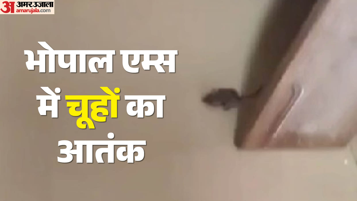 Bhopal News: Rats Infest AIIMS NICU; Major Questions Raised Over Newborn Safety—Problem Persists Even After Pe