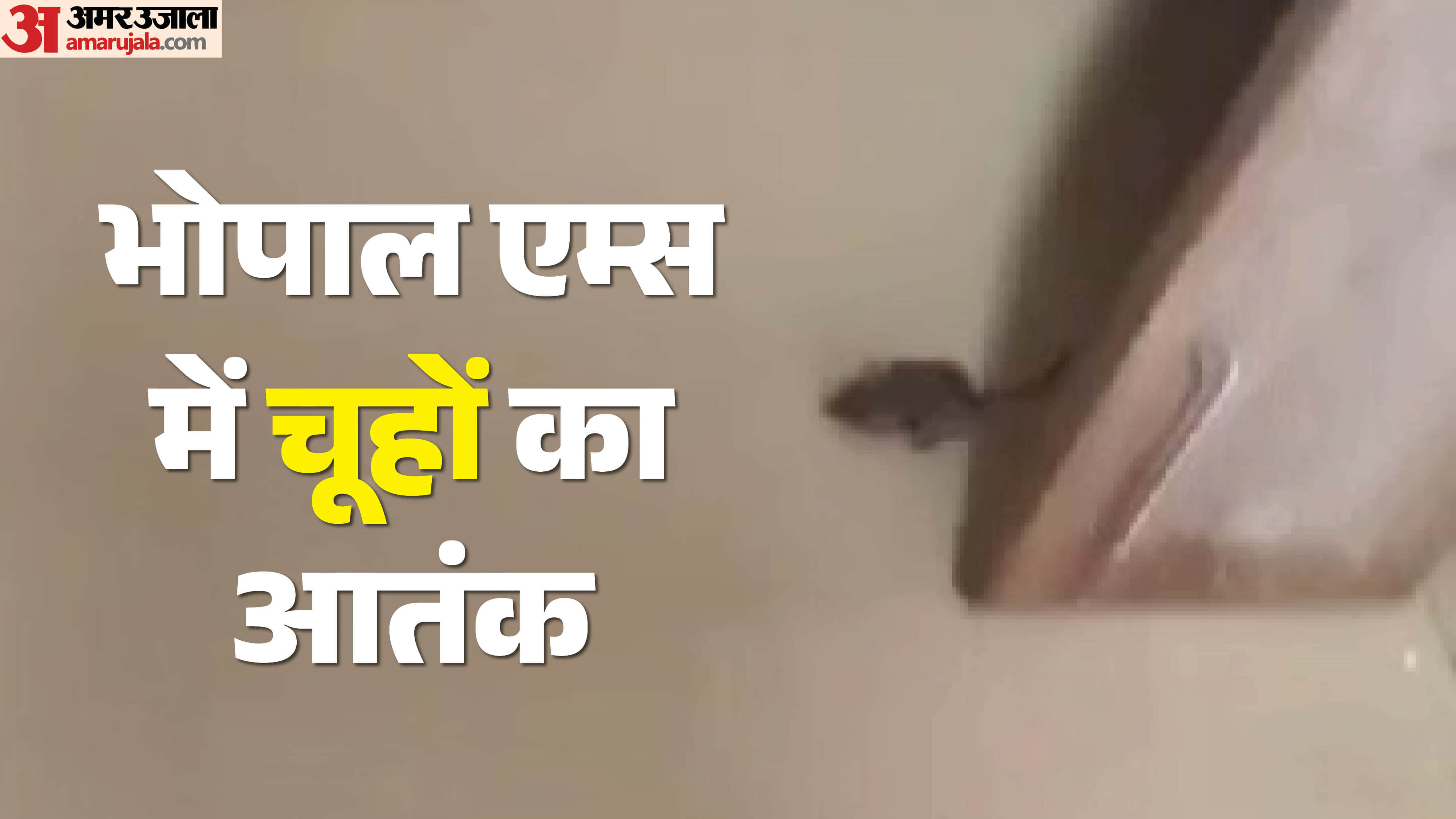 एम्स अस्पताल के NICU में चूहा