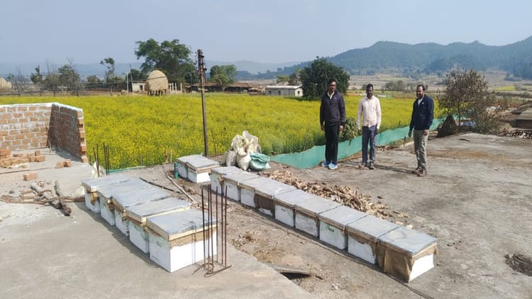 छत्तीसगढ़ में मधुमक्खी पालन को बढ़ावा: कम लागत में किसानों के लिए आय और रोजगार का नया रास्ता