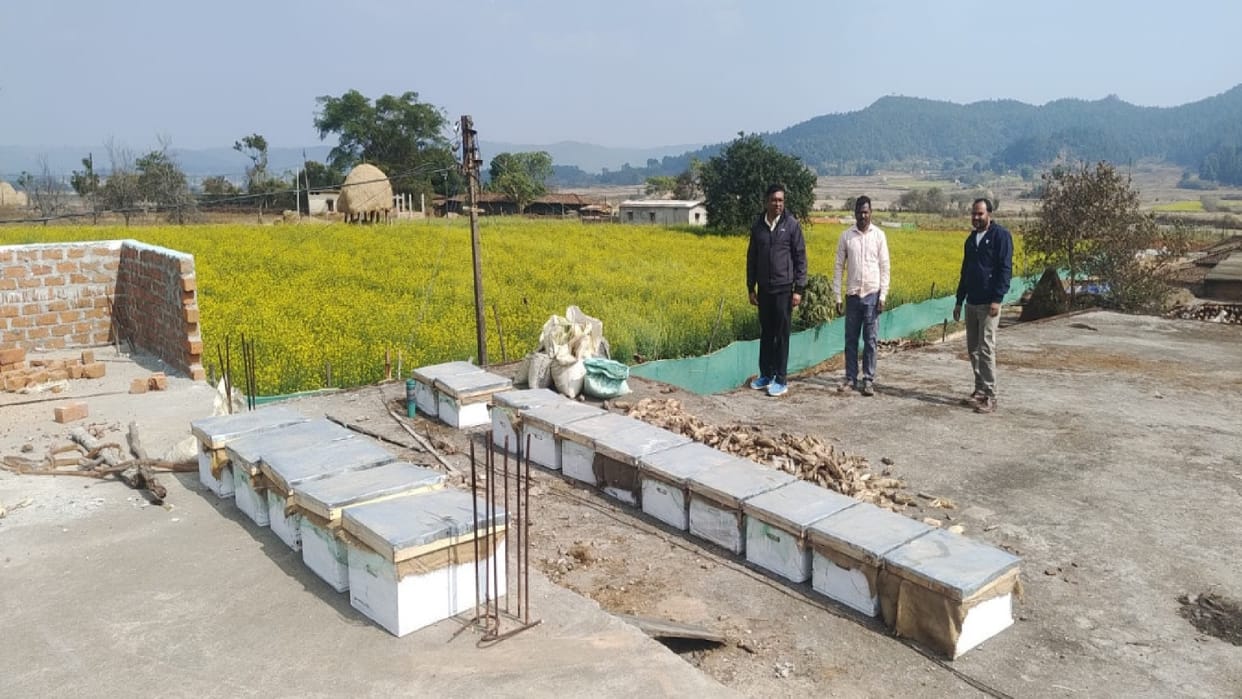Promotion of Beekeeping in Chhattisgarh: A New Way of Income and Employment for Farmers at Low Cost