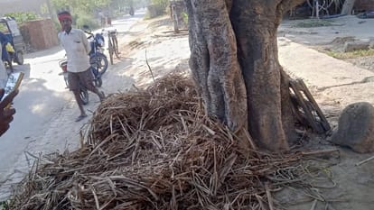 Youth tied to tree and beaten Hair ripped from his scalp mouth gagged screamed killed in Azamgarh