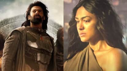 Mrunal Thakur films do deewane seher me and son of sardaar 2 collection exept dacoit