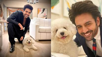 salman shahrukh to priyanka know details of celebs pets on national pet day