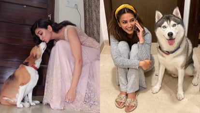 salman shahrukh to priyanka know details of celebs pets on national pet day