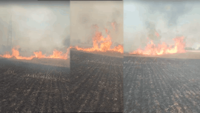 Sparks from High-Tension Line Rain Down in Yamuna City and Farmers Fortunes Burned Away