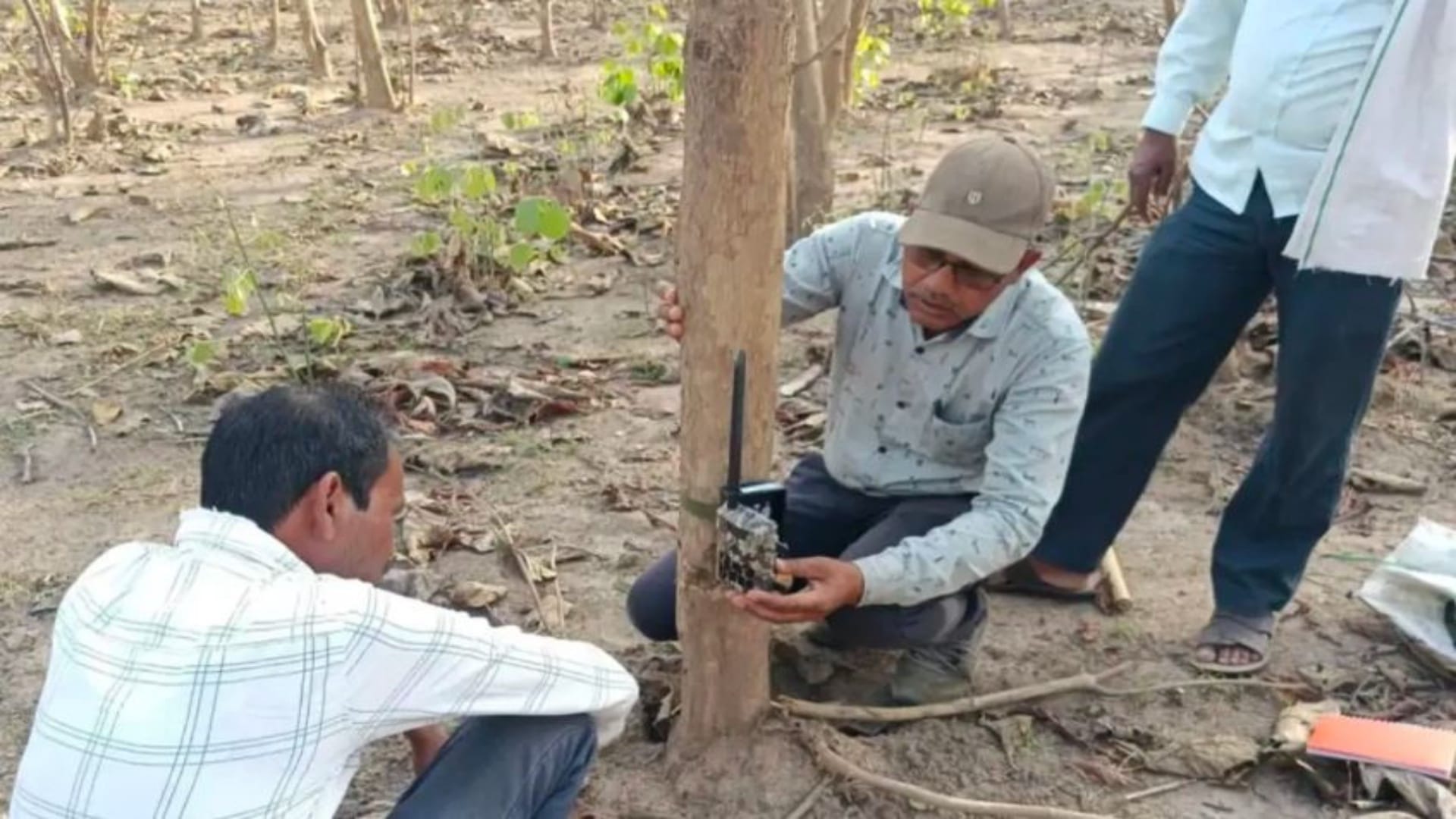 घटनास्थल पर जांच करते वन विभाग के अधिकारी