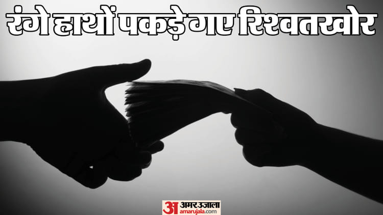 Jhunjhunu: झुंझुनूं में रिश्वत का खेल बेनकाब! 33 लाख की डील पर एसीबी का छापा, एक्सईएन समेत 2 गिरफ्तार