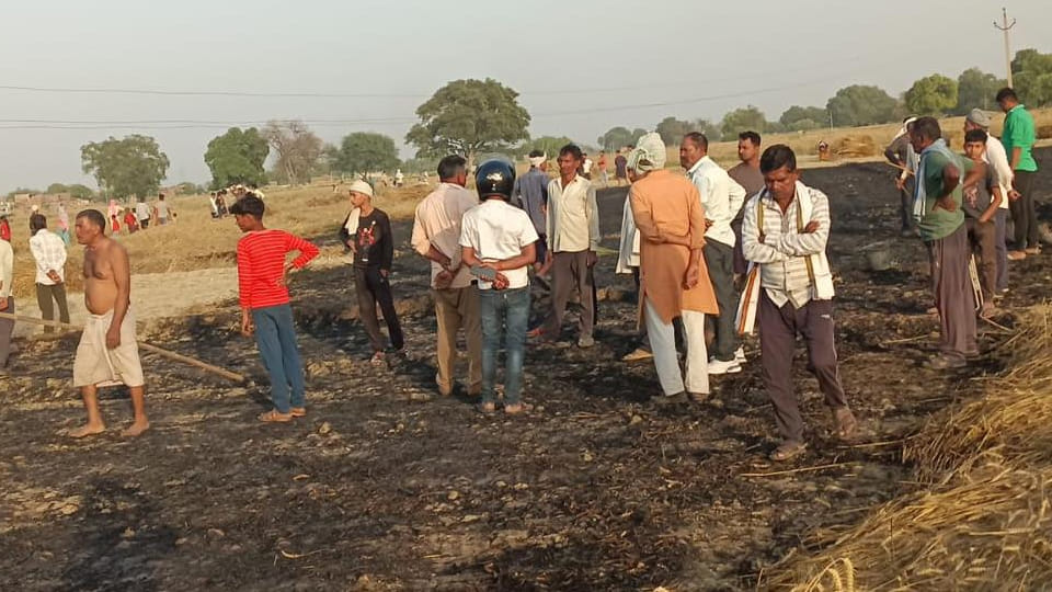 Kanpur: Wheat Crop Across Three Bighas Destroyed by Sparks from High-Tension Line