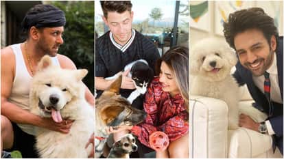 सलमान खान, निक-प्रियंका और कार्तिक आर्यन अपने अपने पेट डॉग्स के साथ