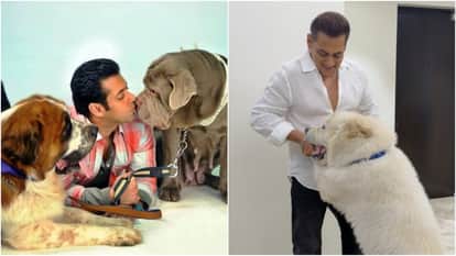 salman shahrukh to priyanka know details of celebs pets on national pet day