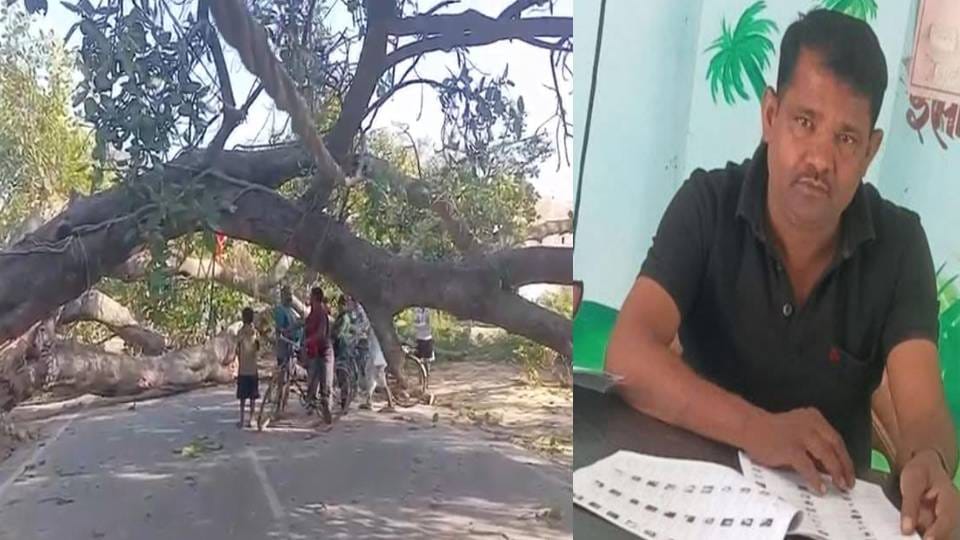 Massive Ancient Banyan Tree Falls on Road in Shravasti Shikshamitra Crushed to Death Companion Injured
