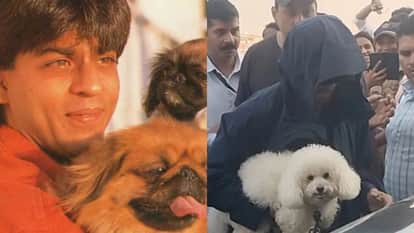 salman shahrukh to priyanka know details of celebs pets on national pet day